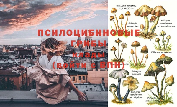 кокаин премиум Магас