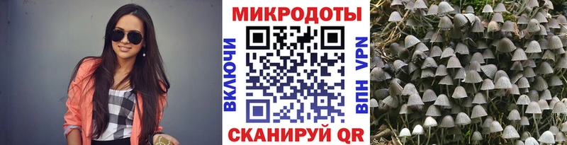 Галлюциногенные грибы Cubensis  дарнет шоп  Трубчевск 